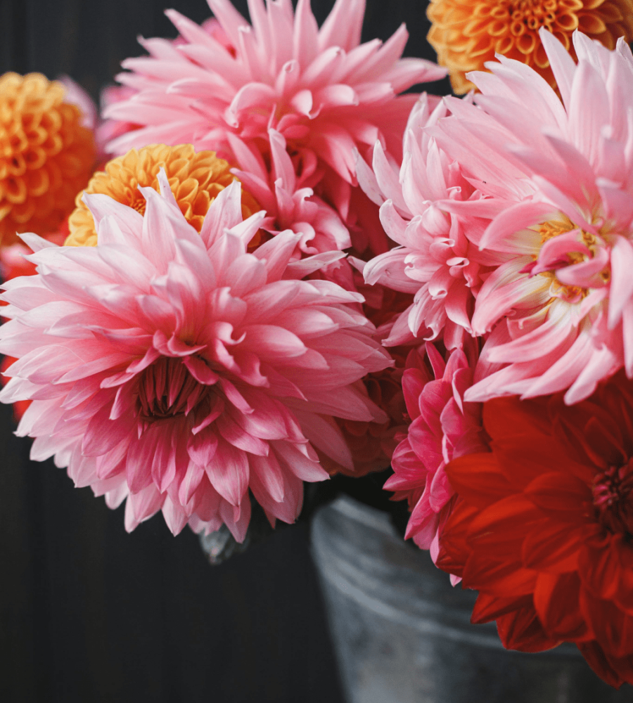 Tiff-n-Chris-Flower-2
